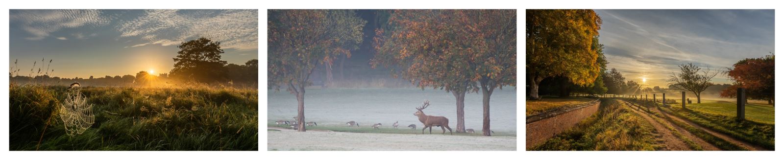 Autumn at Wollaton Hall - Photography by Chris Denning